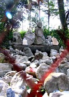 点击浏览第3张图片