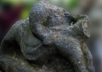 点击浏览第7张图片