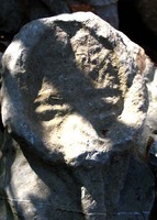 点击浏览第8张图片