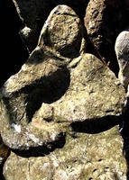 点击浏览第10张图片