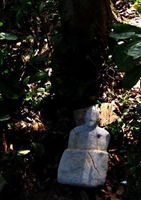 点击浏览第20张图片