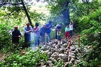 点击浏览第22张图片