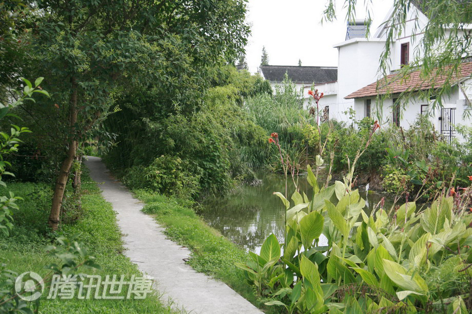 高清:上海郊区农村+白墙黛瓦小桥流水招人爱