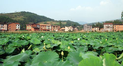 国家森林城市人均公园_人均森林碳汇(2)