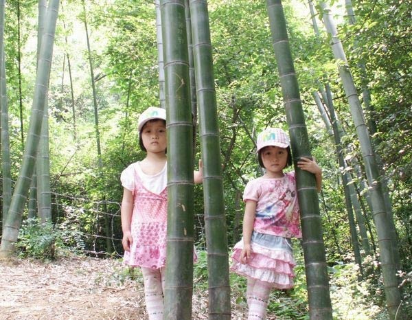 [转贴]<em>亲亲双胞胎姐妹</em> - 0-3岁宝宝专区 - 东北论