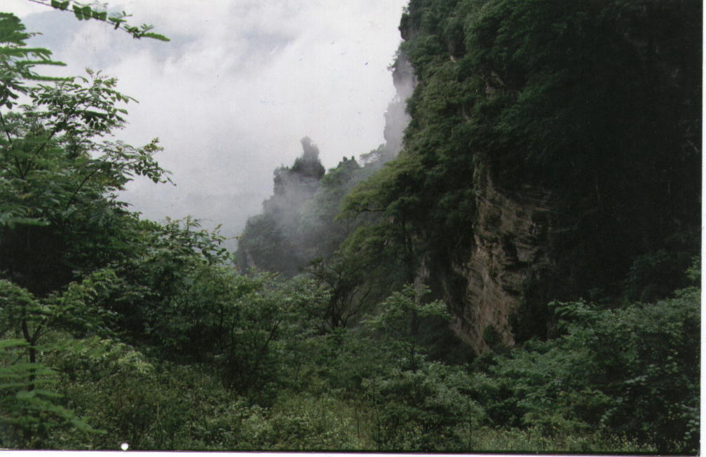 重庆市景区景点之名山大川