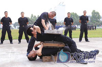 点击欣赏第11张图片