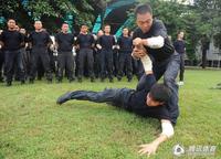 点击欣赏第7张图片