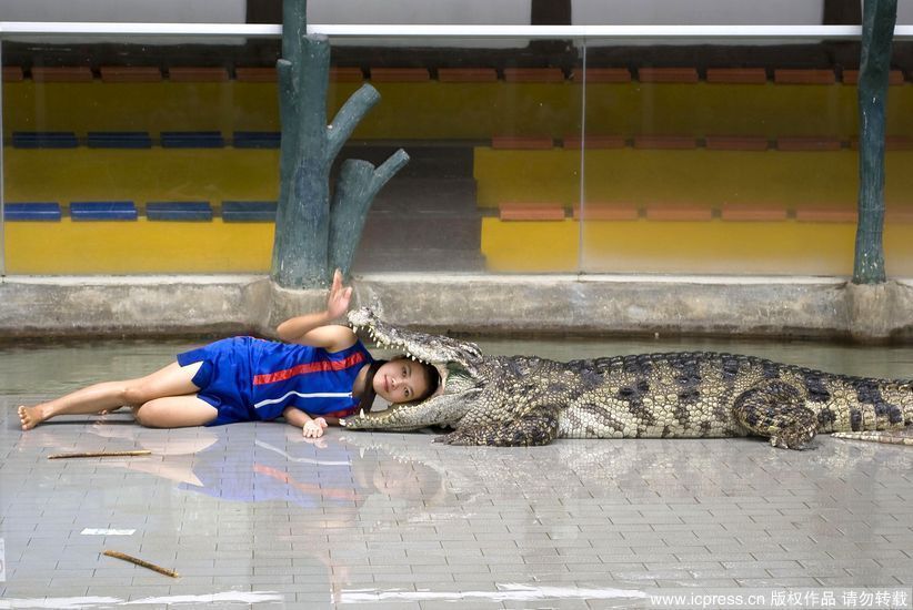 高清图:27岁泰国美女和鳄鱼成为好朋友_新闻图