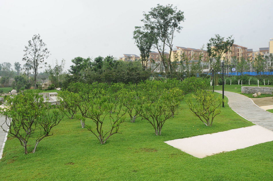 组图:北川新县城将启动城市运行_腾讯·大成网