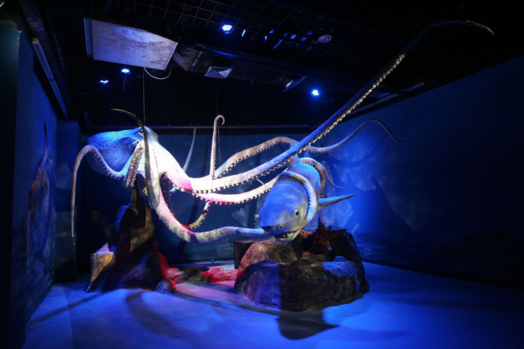 国内最大的极地海洋动物馆9月30日开业_热点新闻_腾讯·大渝网