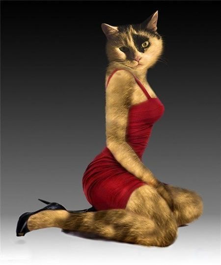 具有魔鬼身材的雷人野兽