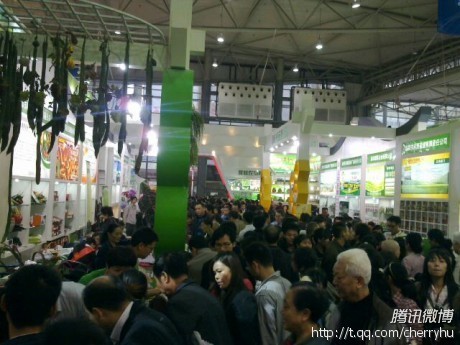 独家:有机蔬菜亮相西博会 市民疯抢(组图)_腾讯