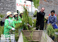 HD: Ningbo Tengtou Muzej slučajevima napuni riže Hong