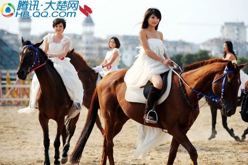 大楚网楚美人美女骑士惊艳武汉东方马场(图)