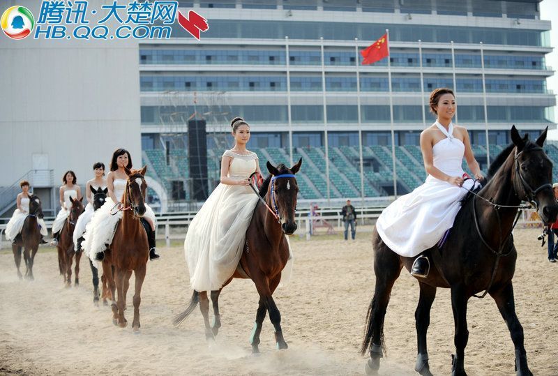 大楚网楚骑士马场美女骑马武汉东方美女(高清惊艳矮美人双图片