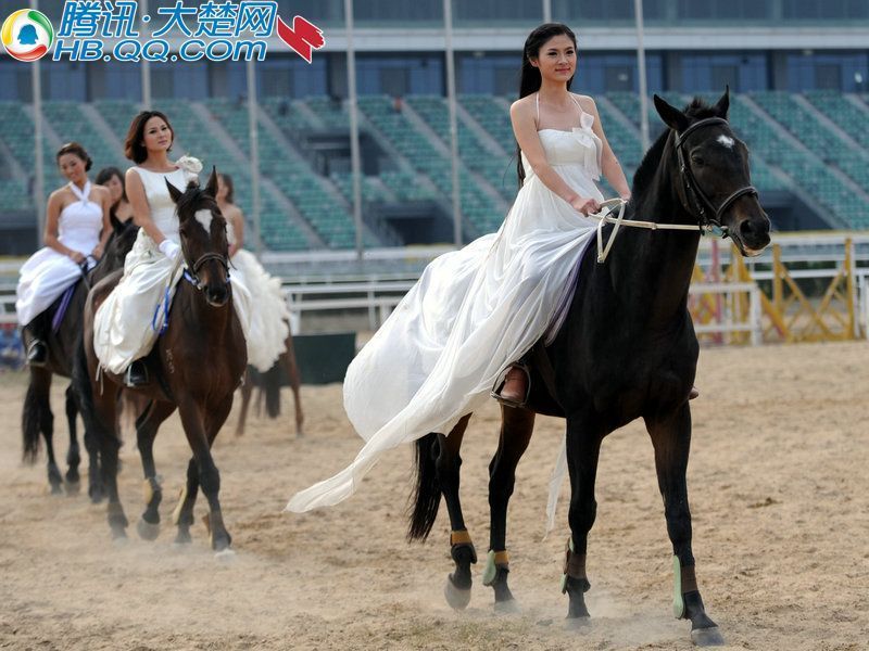 大楚网楚美人美女骑士惊艳武汉东方马场(高清