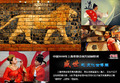 HD: Shanghai World Expo Foto Retrospektiva Katalog - kulturnog blaga