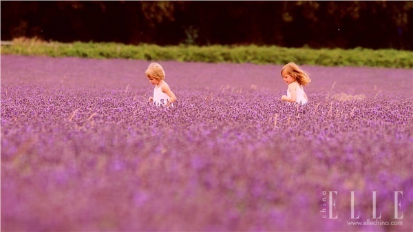 法国普罗旺斯:走入熏衣草的紫色世界