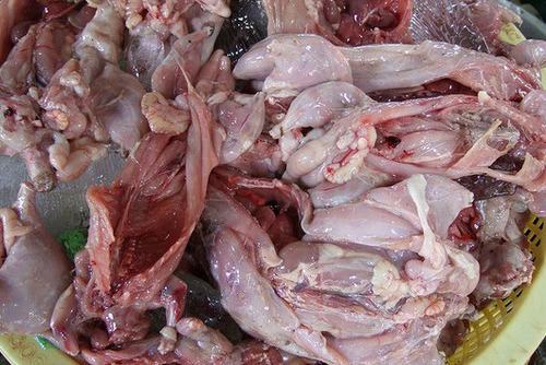 越南人爱吃老鼠肉