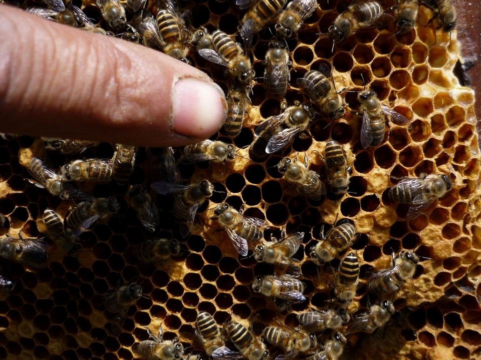 组图:招商局扶贫创新视觉奖作品