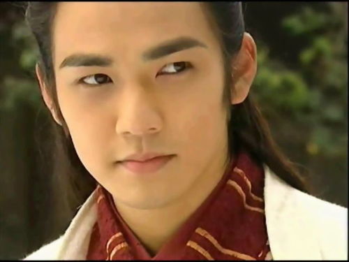 组图:慕容四少横扫荧屏 钟汉良饰演角色盘点