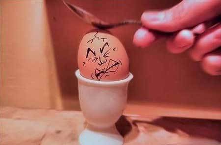 无辜:让人笑喷的鸡蛋表情组图秀表情可爱敲桌子包图片