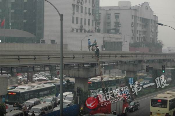 重庆成年男性人口_重庆人口大迁徙