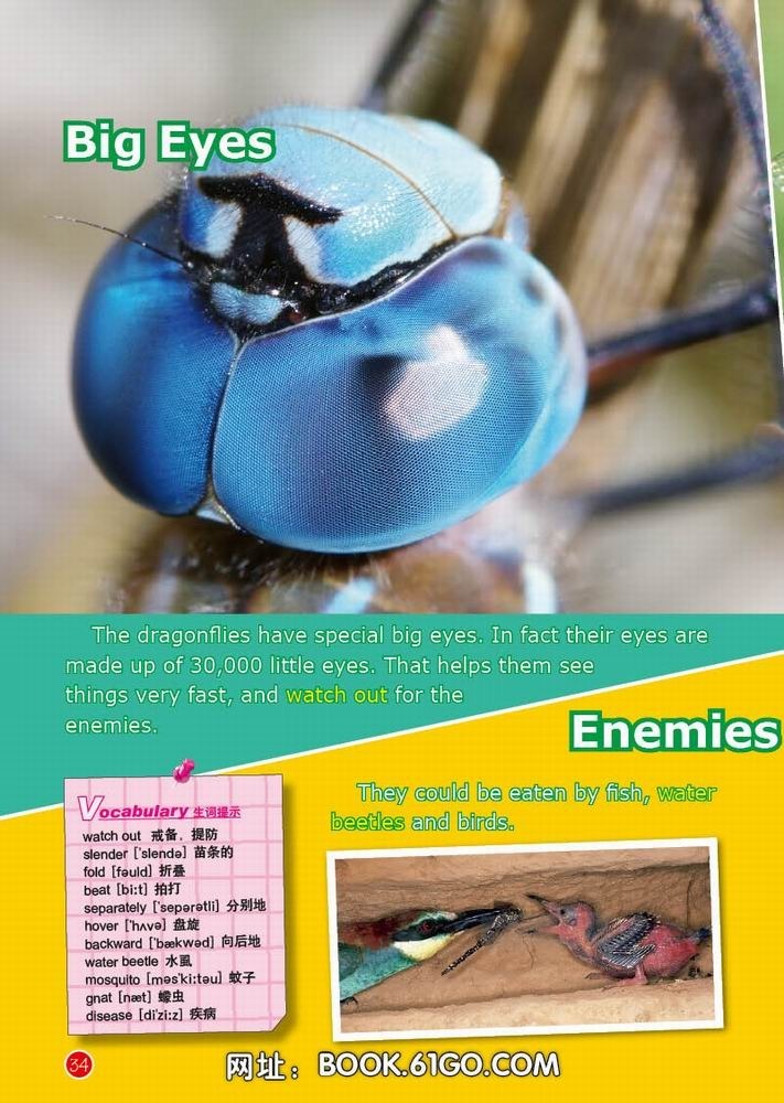 天天爱英语(3-6年级)·英语中的序数词