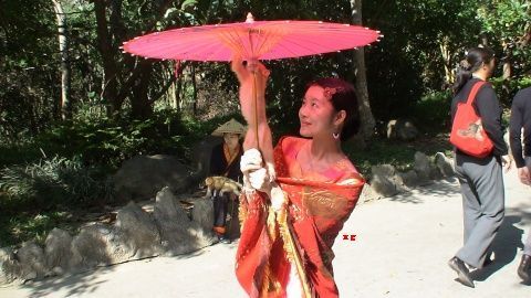 点击浏览下一张
