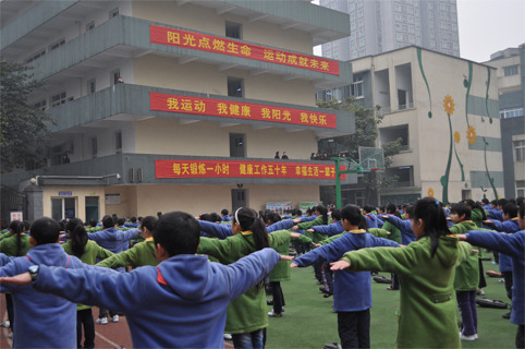 九龙坡实验二小健康校园受体育局好评