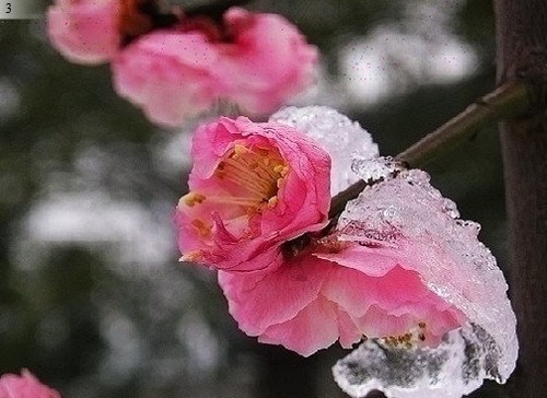 1634057_500x500_0.jpg