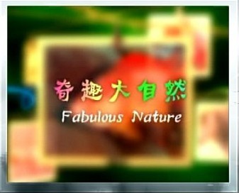 2011年重庆电视台科教频道节目简介_科教频道