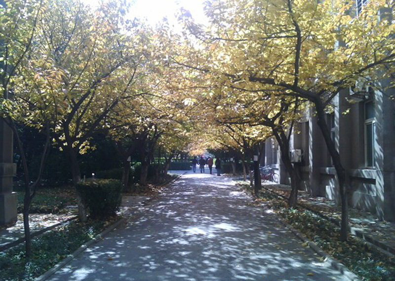 高清:西安交通大学风景 追忆似水年华