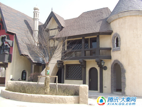 粉小q带您探班世园 玻璃墙壁里面养金鱼_小花