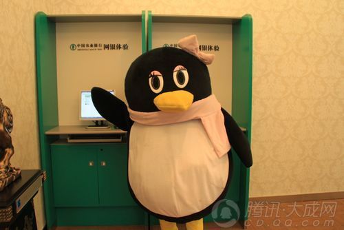 q美眉看着属于自己的k宝