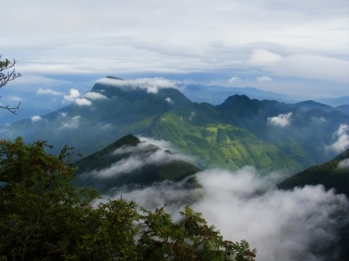 中国·成都 - 成华区龙潭街道 - 重庆金佛山来蓉