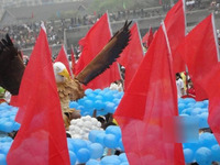 ����鿴��20��ͼƬ