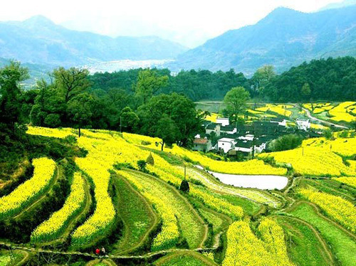 点击浏览下一张
