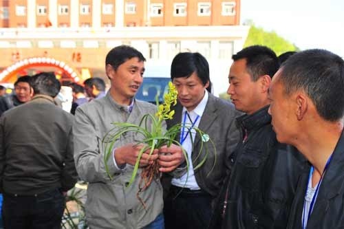 秦岭金丝峡兰花节交易超百万