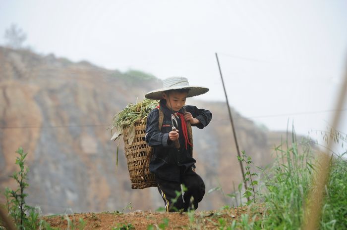 长寿葛兰人口_重庆长寿葛兰中学照片(3)