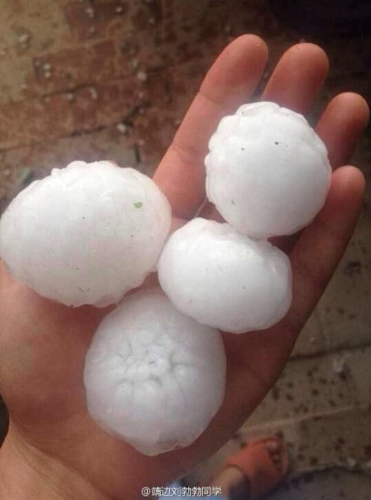 跟我学做菜吧_跟我学做菜吧什么意思_跟我学