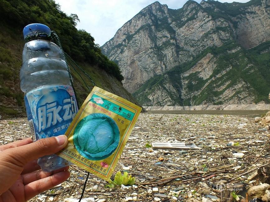 长江三峡水库部分水湾漂浮垃圾聚集