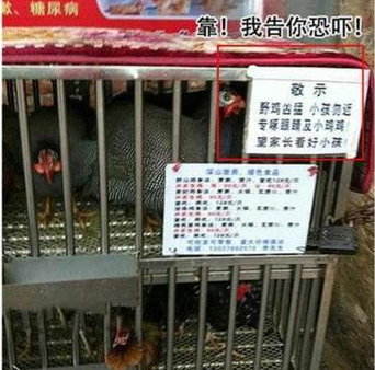 我们都是深井冰