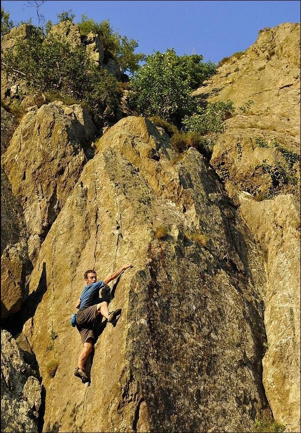 会长是女仆大人_魔兽会长年收入100w(2)