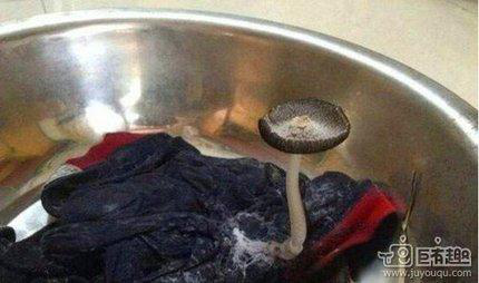 我们都是<em>深井冰</em>(142):这<em>妹子</em>一定是练过的 - 阜