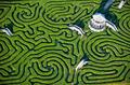  Longest garden maze