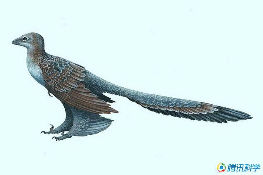 2014年十大史前发现:狮子和老虎的远古祖先_