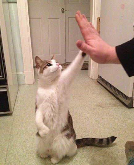 give me five