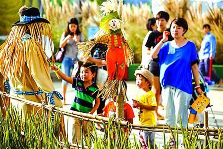 "天空农庄"稻田里的稻草人让小朋友觉得很新奇.